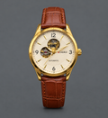 Men Watch Casirui Automatic