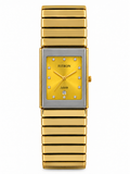 Fitron Ceramic ( Medium Dial )