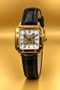 Men Watch Casirui Automatic