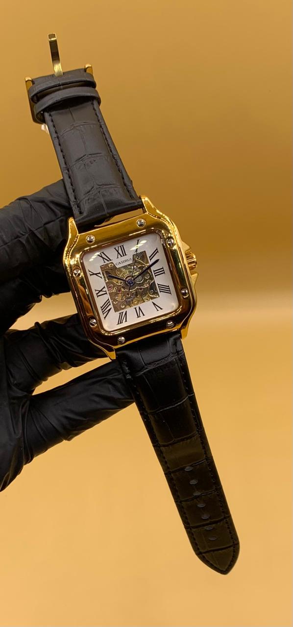 Men Watch Casirui Automatic